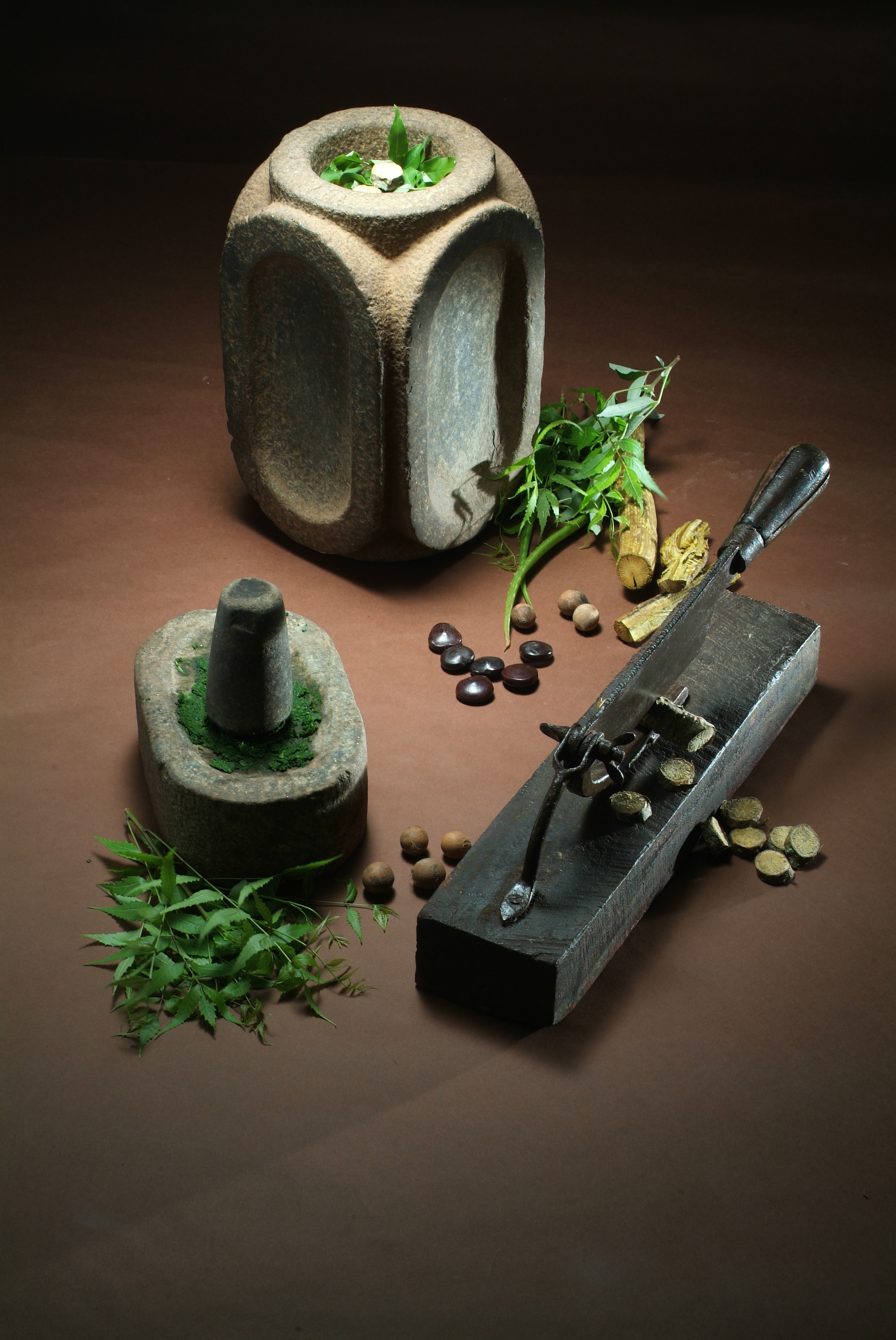 Cultural Preservation Talk