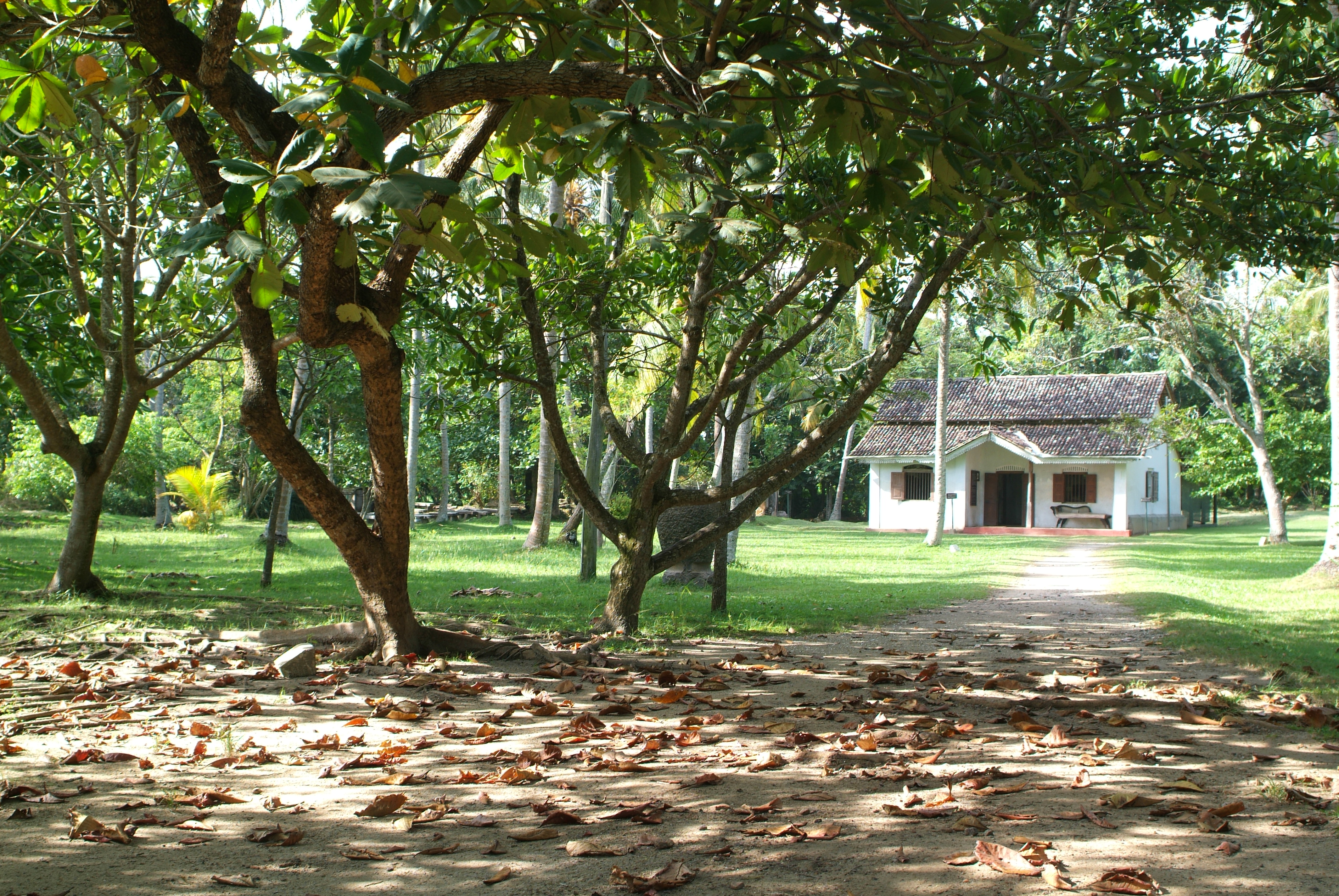 Museum History Tour